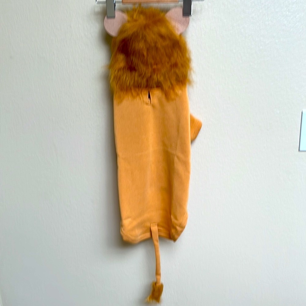 Pet Halloween hoodie